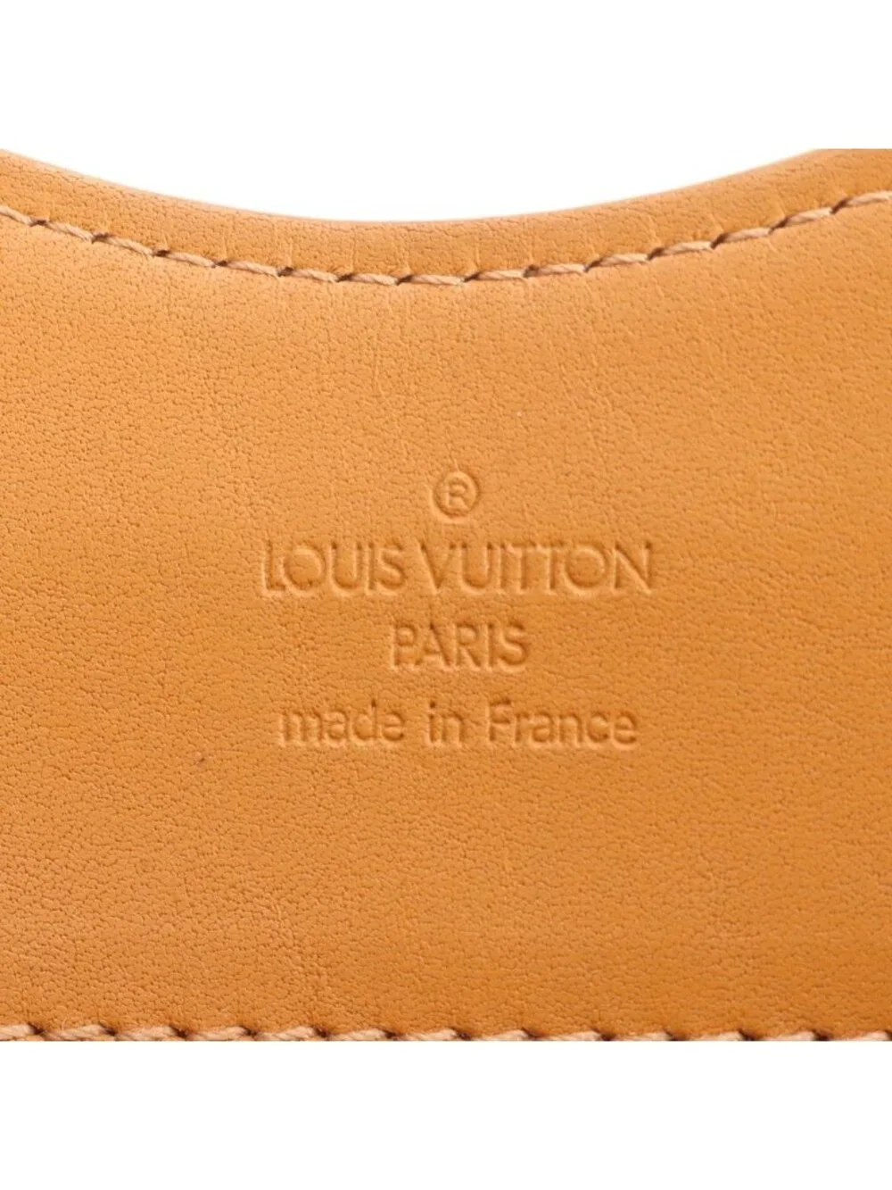 Louis Vuitton Monogram Mini Sac Catlin Leather Handbag Tote
